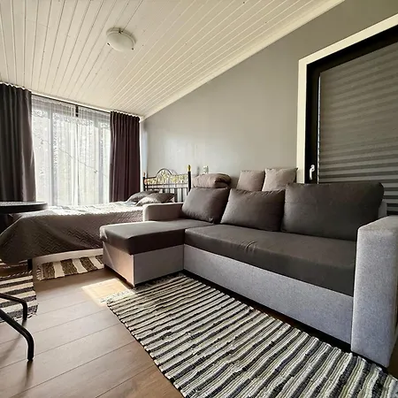 Maennikumereaeaere With Sea View And Private Apartmán