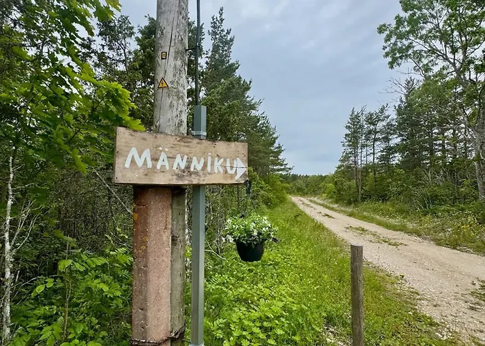 Apartman Maennikumereaeaere With Sea View And Private *